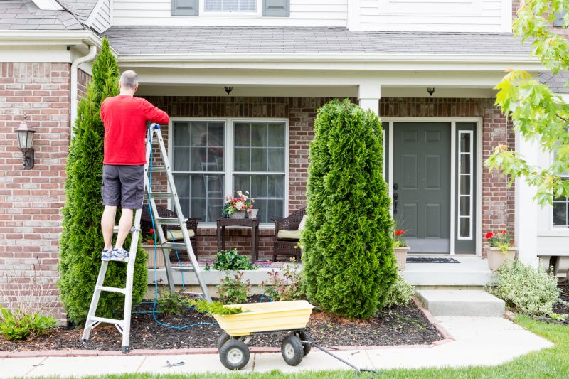 Arborvitae Service